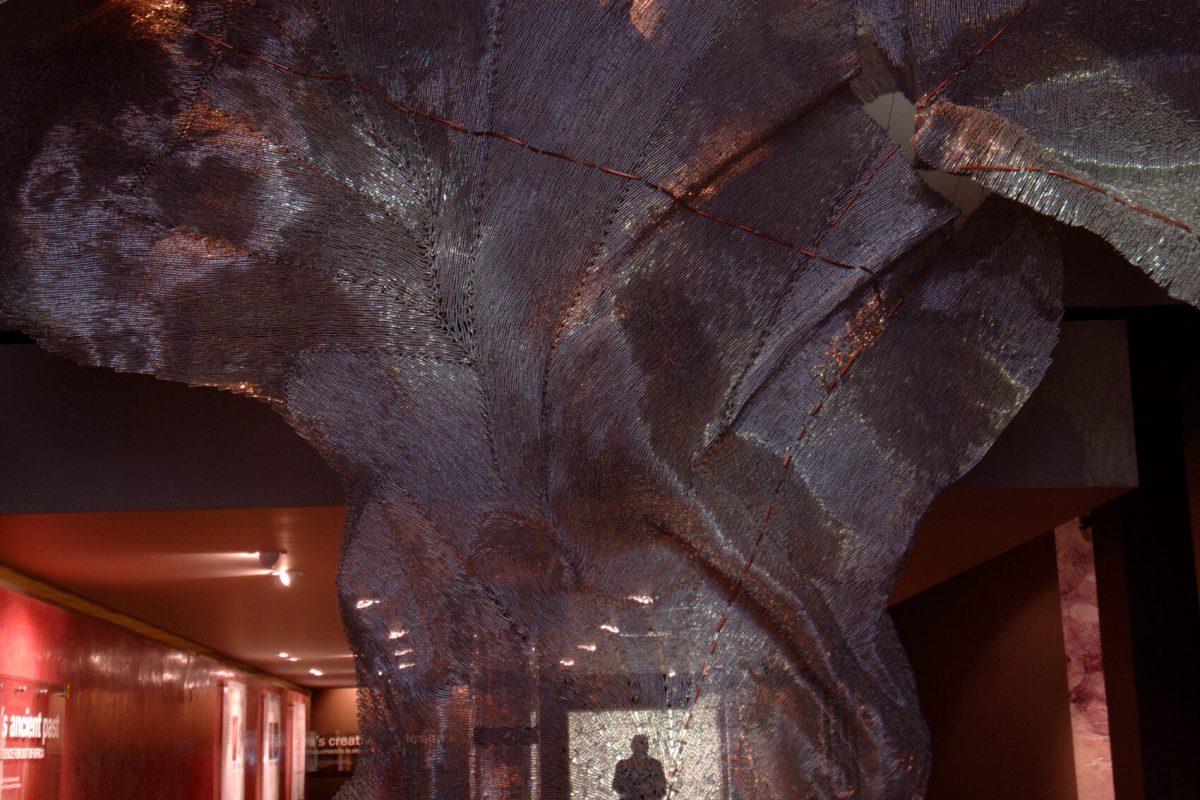 South African Museum of Rock Art (SAMORA) de Johannesbourg en Afrique du Sud. Mars 2006